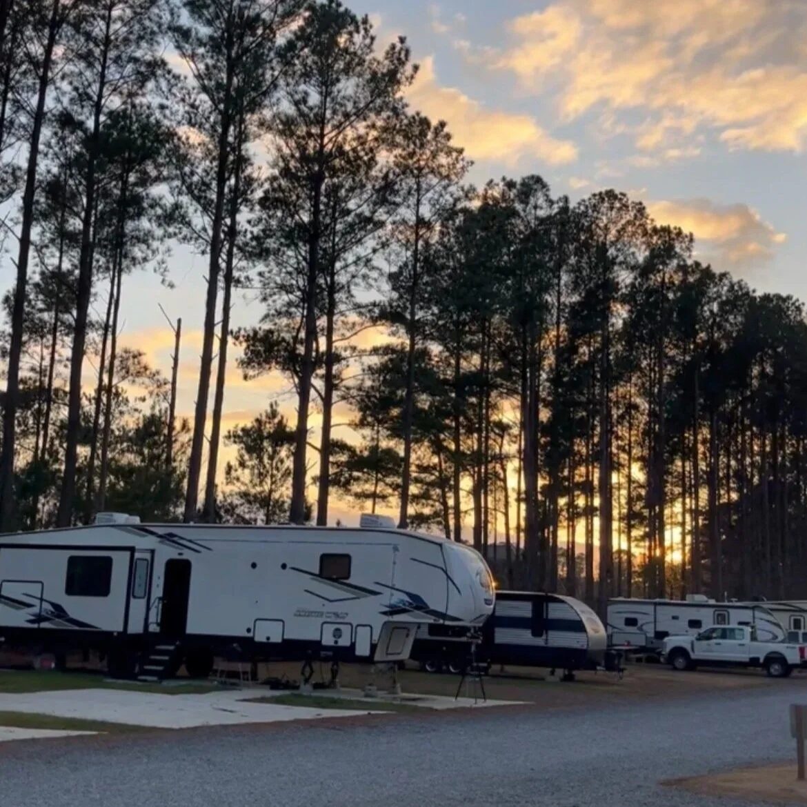 Rigs on their full-hookup sites at In The Pines at golden hour, concrete pads and pines behind