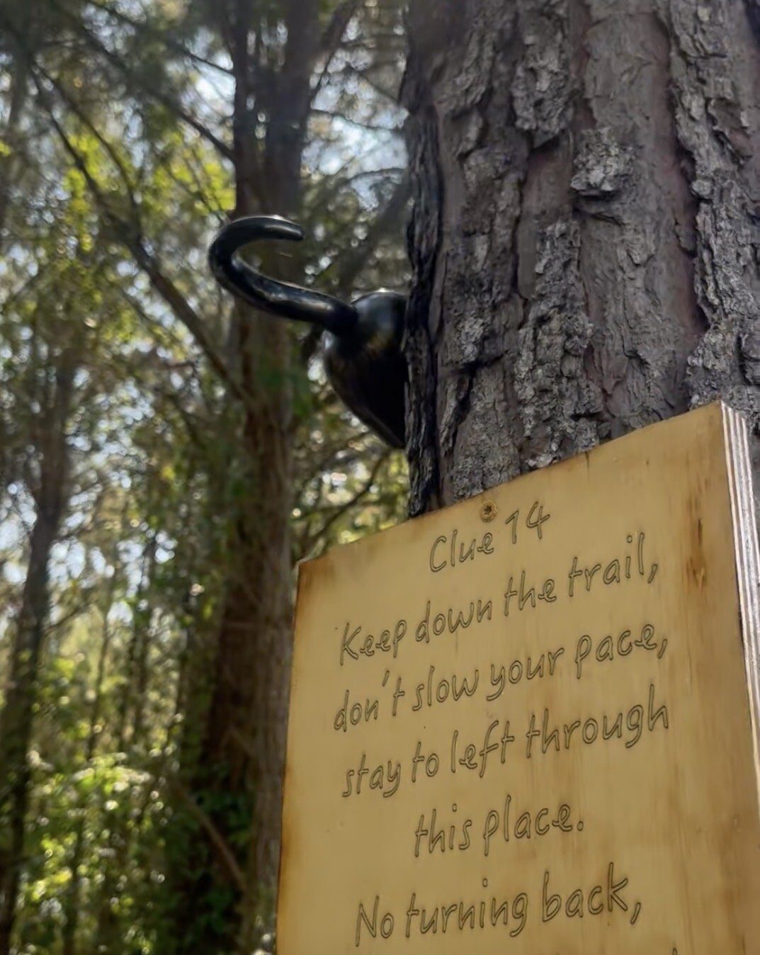 A hand-lettered clue nailed to a pine for Blackbeard's Lost Treasure Hunt at In The Pines